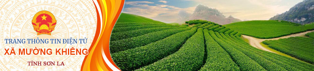 image banner